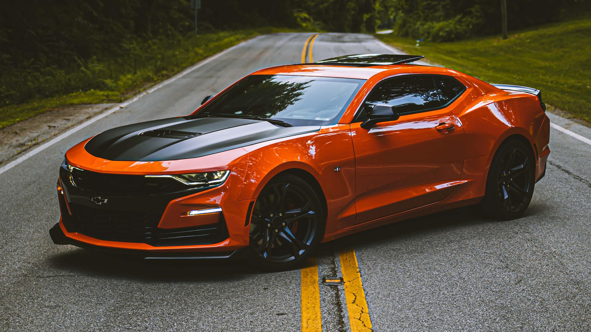 SUVs car rental option